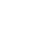 asset 4